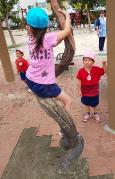 写真:木に登る子ども