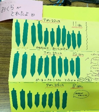 イラスト:収穫したオクラの大きさ