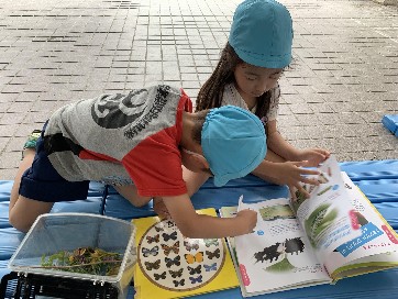 写真:生き物に興味津々の子どもたち2