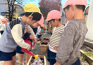 写真:球根植え3