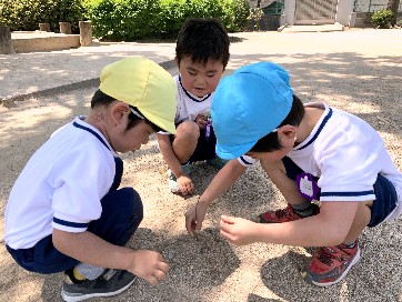 写真:砂山を作る子どもたち