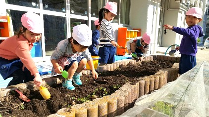 写真:雑草を抜く子どもたち