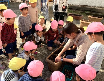 写真:球根植え1