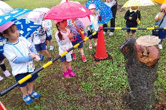 写真:大きなきのこを見る子どもたち