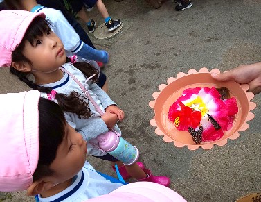 写真:足立区生物園遠足9