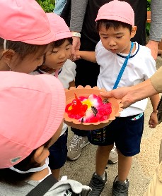 写真:足立区生物園遠足10