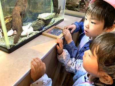 写真:足立区生物園遠足2