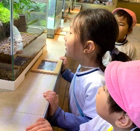 写真:足立区生物園遠足5