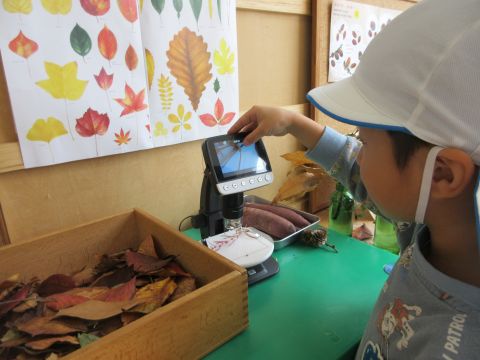 4歳　電子顕微鏡で観察