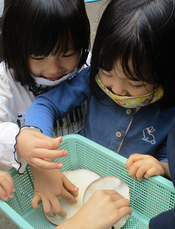 写真:シイタケを触る子どもたち2