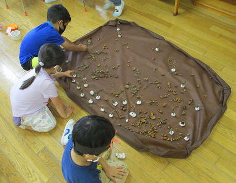 写真:どんぐりを触る子どもたち