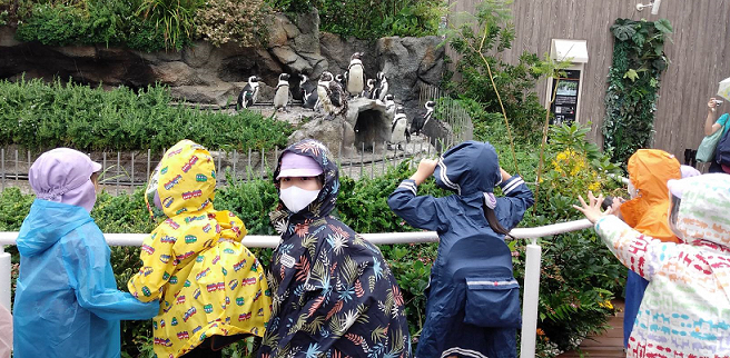 写真:生き物を見学する子どもたち1