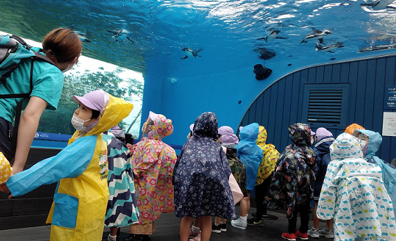 写真:生き物を見学する子どもたち3