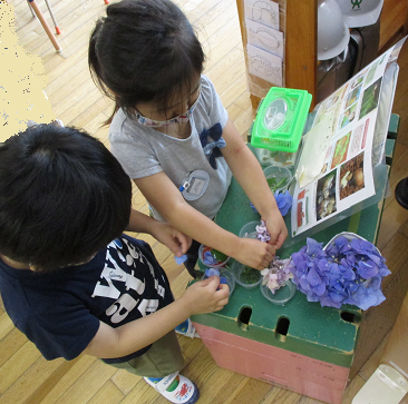 写真:色水作りをする子どもたち1