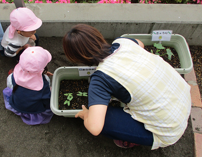 写真:虫を探す先生と子どもたち