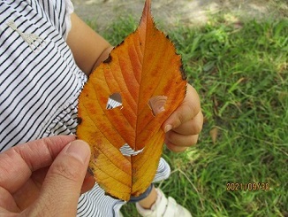 写真:葉っぱで作ったおばけ