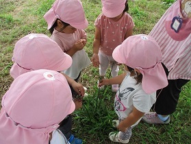 写真:お散歩を楽しむ子どもたち3