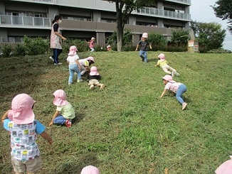 写真:お散歩を楽しむ子どもたち4