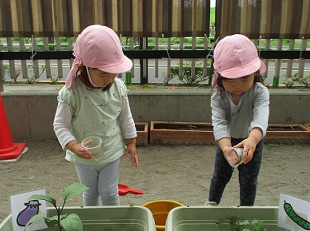 写真:お水をあげる子どもたち