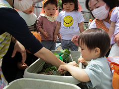 写真:苗を植える子どもたち2
