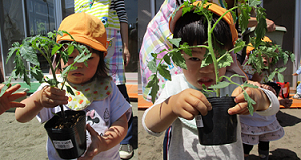 写真:苗を植える子どもたち1