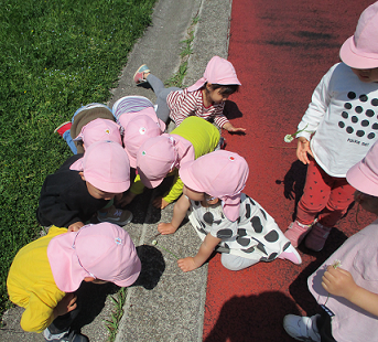 写真:虫探しをする子どもたち2