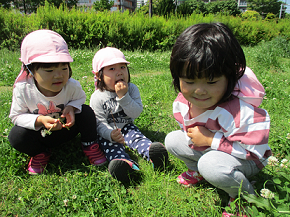 写真:虫探しをする子どもたち1