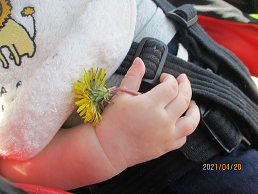 写真:お花を持つ子ども