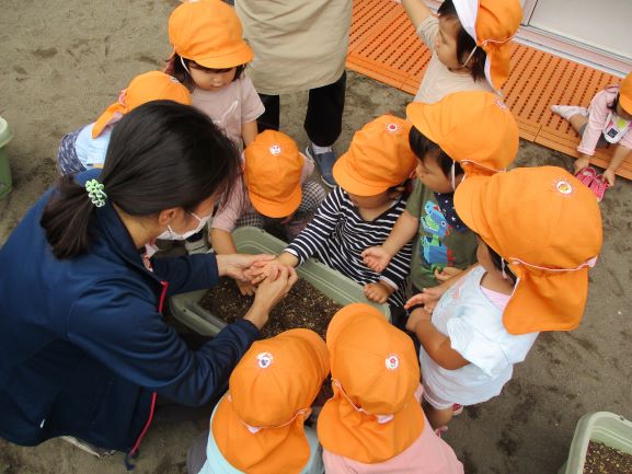 写真:野菜の種を植える子どもたち2