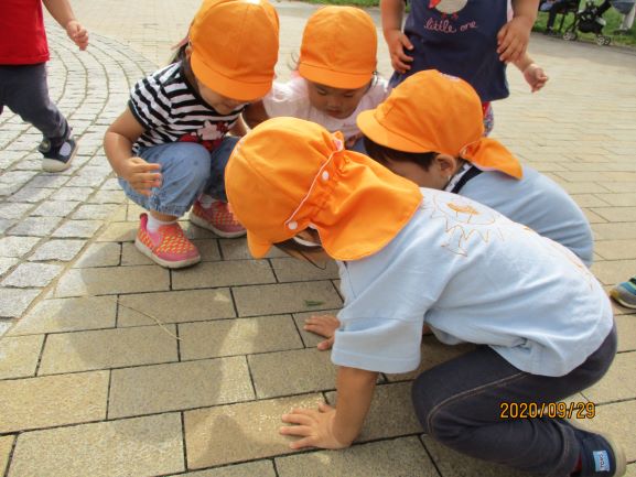 写真:バッタを見つめる子どもたち