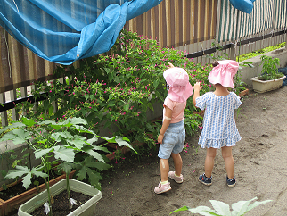 写真:花を摘む子どもたち