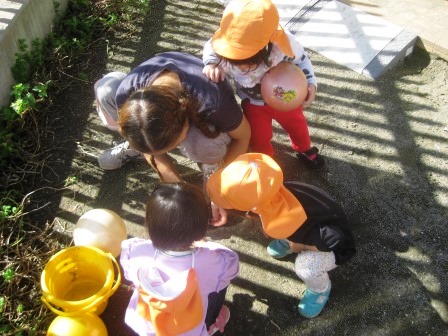 写真:庭で遊ぶ子どもたち1