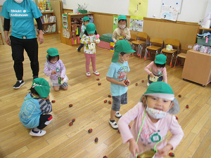 写真:どんぐり拾いの様子