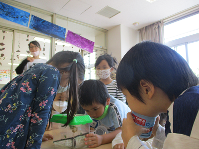 写真:カゴを見つめる子どもたち