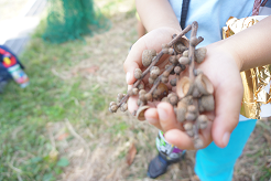 写真:材料を集める子どもたち2