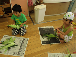 写真:皮むきをする子どもたち2