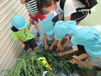 写真:笹に飾りをつける子どもたち2
