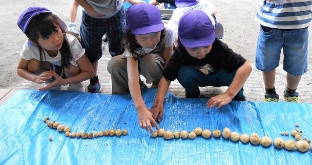 写真:ジャガイモを見る子どもたち1