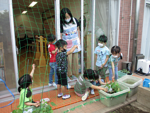 写真:先生と子どもたち