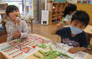 写真:さや剥きをする子どもたち2