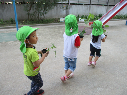 写真:苗を持つ子どもたち