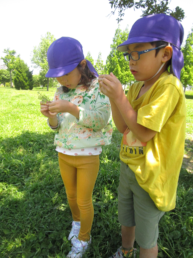 写真:公園を楽しむ子どもたち3