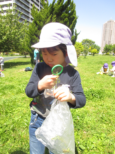 写真:公園を楽しむ子どもたち4