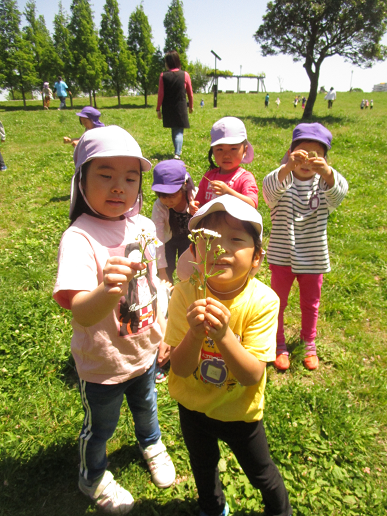 写真:公園を楽しむ子どもたち5