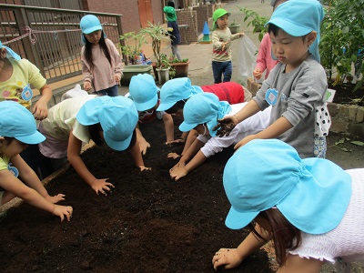 写真:土を触る子どもたち