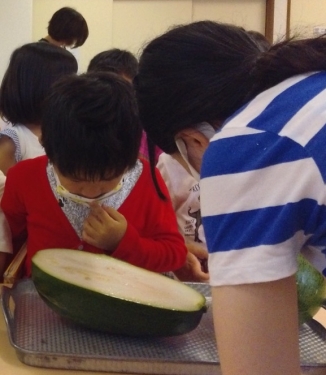 写真:切った冬瓜を見る子ども
