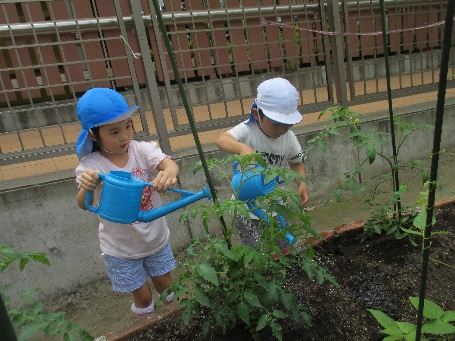 写真:ジョーロで水やりをする子どもたち