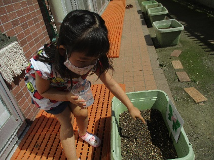 写真:生長を見守る子ども