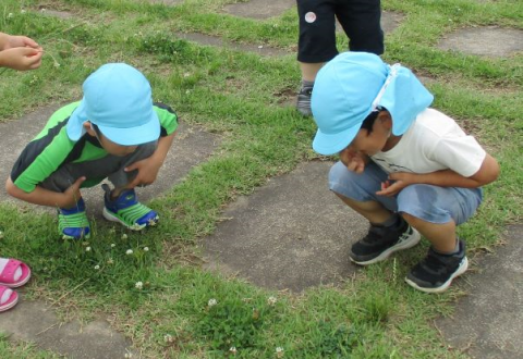 写真:虫を見つけた子どもたち