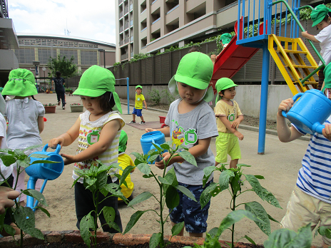 写真:水やりをする子どもたち2